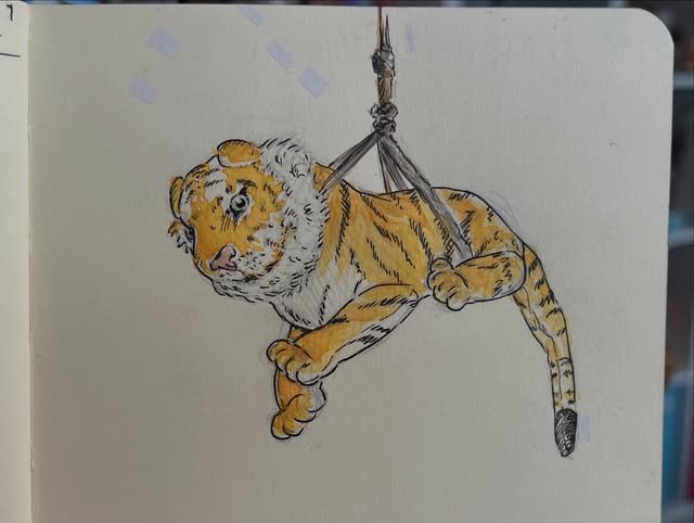 Ink and color drawing of a tiger cub hanging in a rope harness